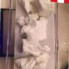 Buy Uncut Peruvian Pure Cocaine – Premium Quality & Authentic Powder - Image 2