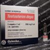 Testosterone Depo Galenka – Premium Testosterone Injection for Enhanced Vitality & Muscle Growth - Image 2